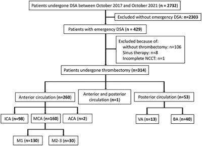 The relationship between vertebrobasilar artery calcification and intracranial atherosclerosis-related occlusion in thrombectomy